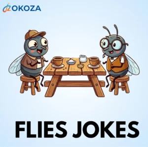Flies jokes